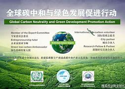 绿色赛场：F1最新碳中和行动