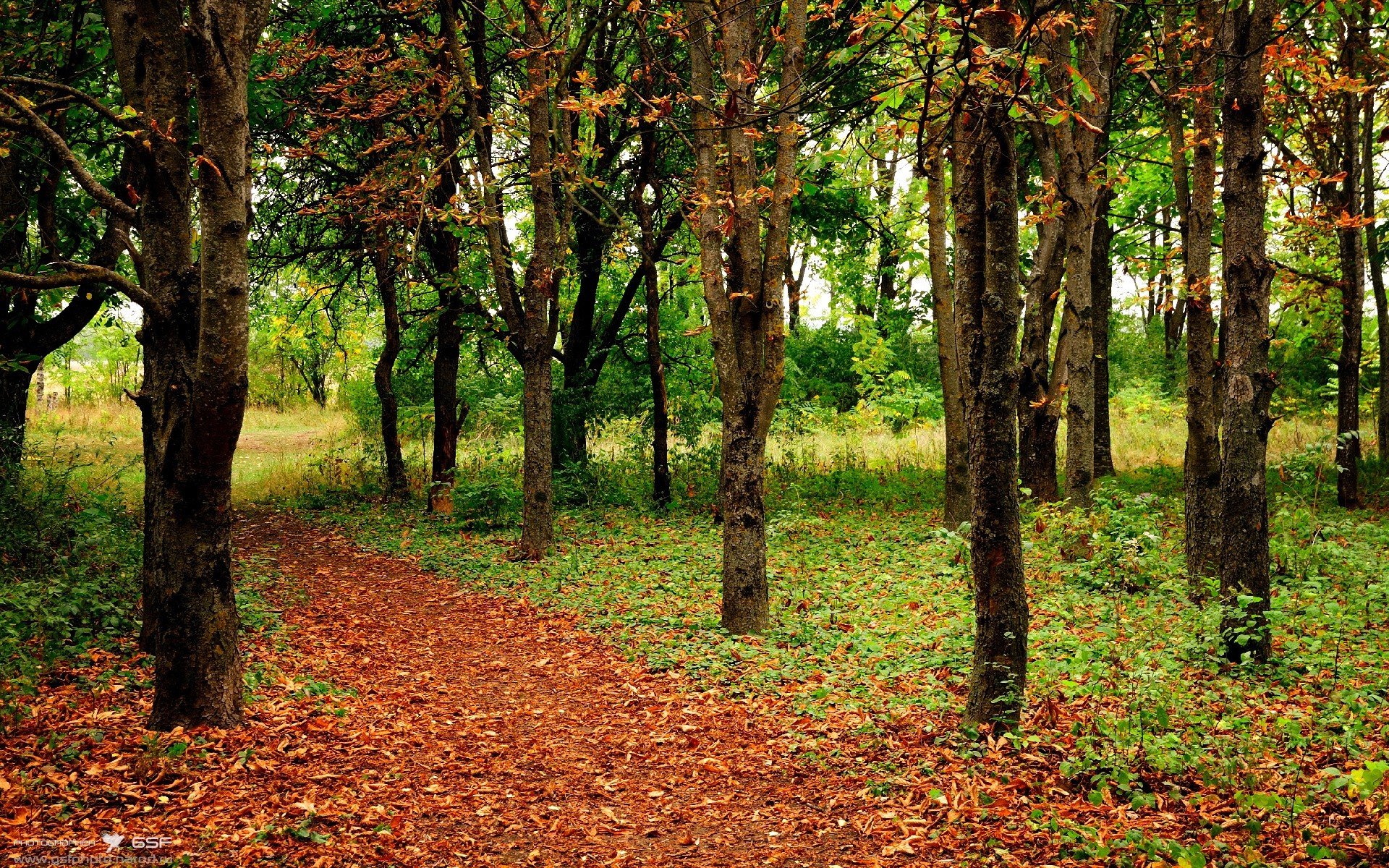 _未来之星争霸：青少年网球天才全面展现实力_，未来网球俱乐部