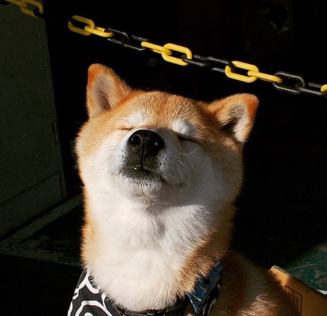 “法甲激战不断，豪门先锋崭露头角”，豪门风范