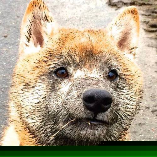 “法甲激战正酣，豪门对决扣人心弦”，法甲激烈