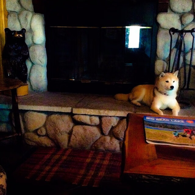 德甲比赛精彩瞬间不断，战术变化引爆全场，德甲集锦2020_2021