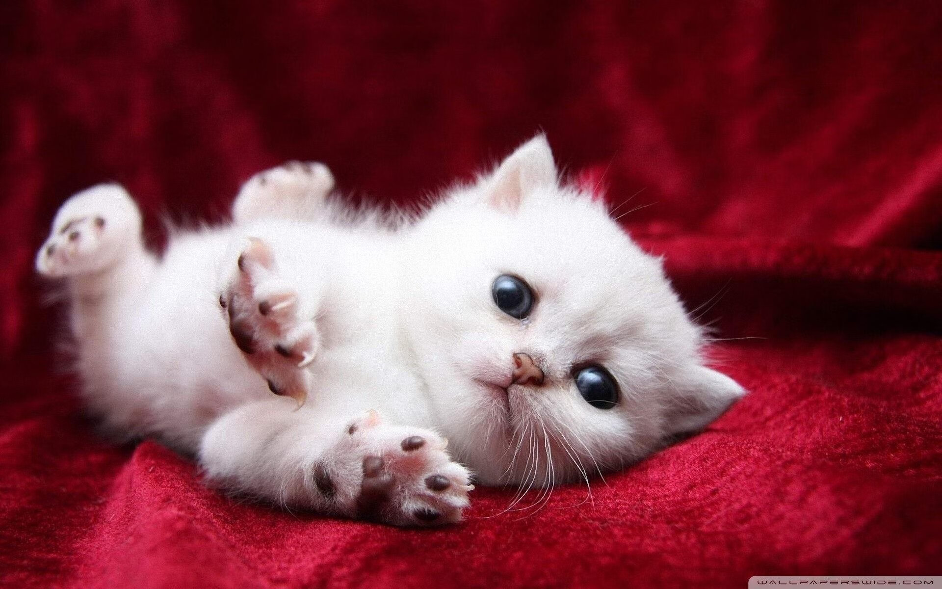 特色乡村越野骑行,绿色运动的春天盛会,越野骑行生活