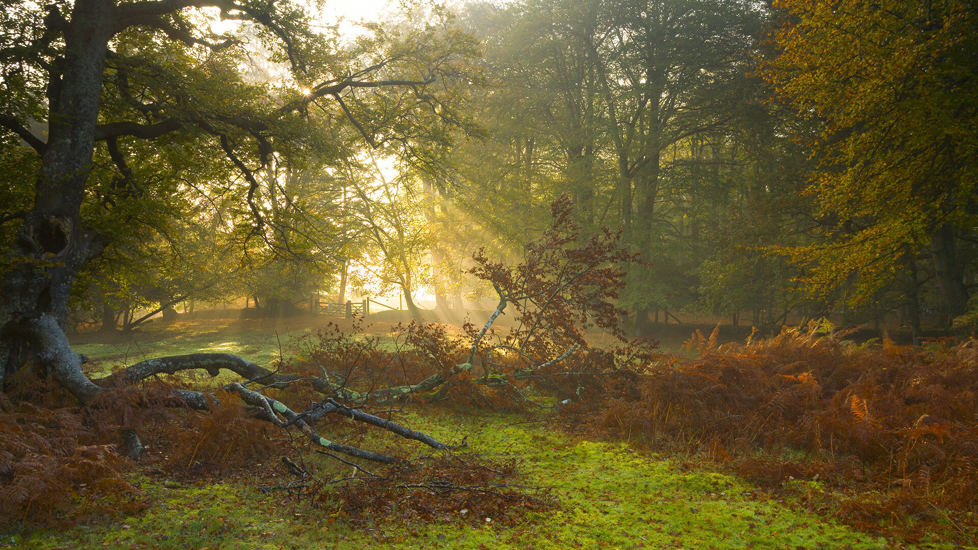 经典瞬间:蒂伊在死角投中“极远三分”,成媒体焦点!