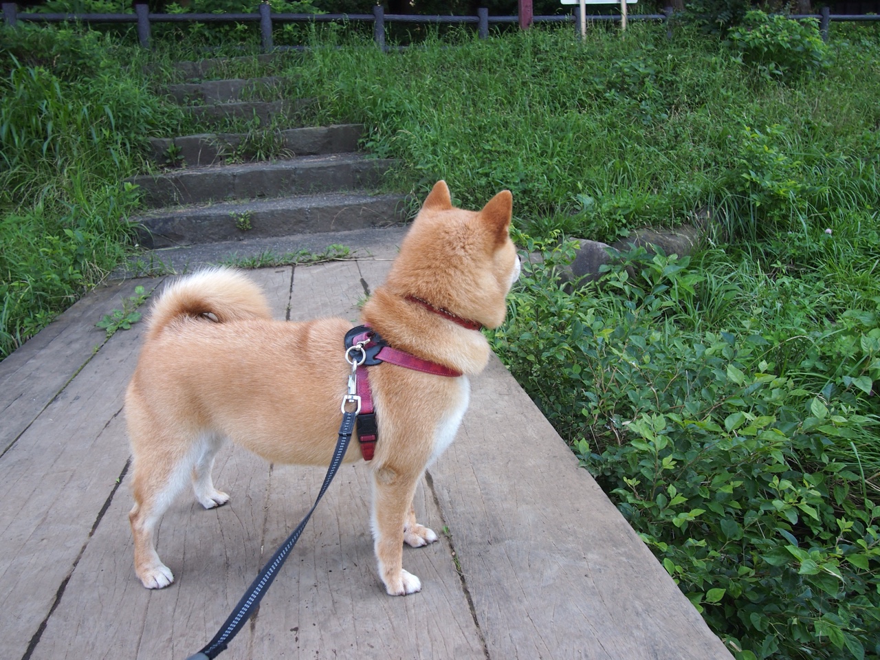 亚眠客场逼平昂热,保持不败纪录,亚眠是哪里