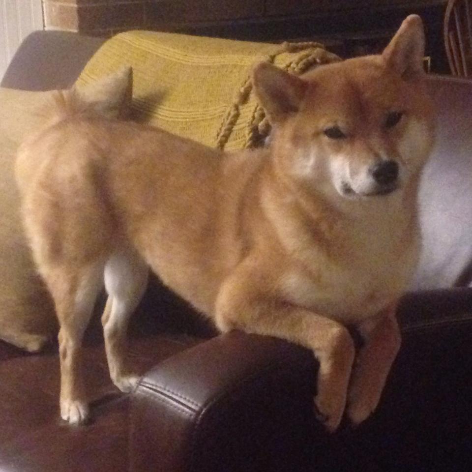 塞维利亚辗转反侧，最终战胜劲敌，塞维利亚什么水平