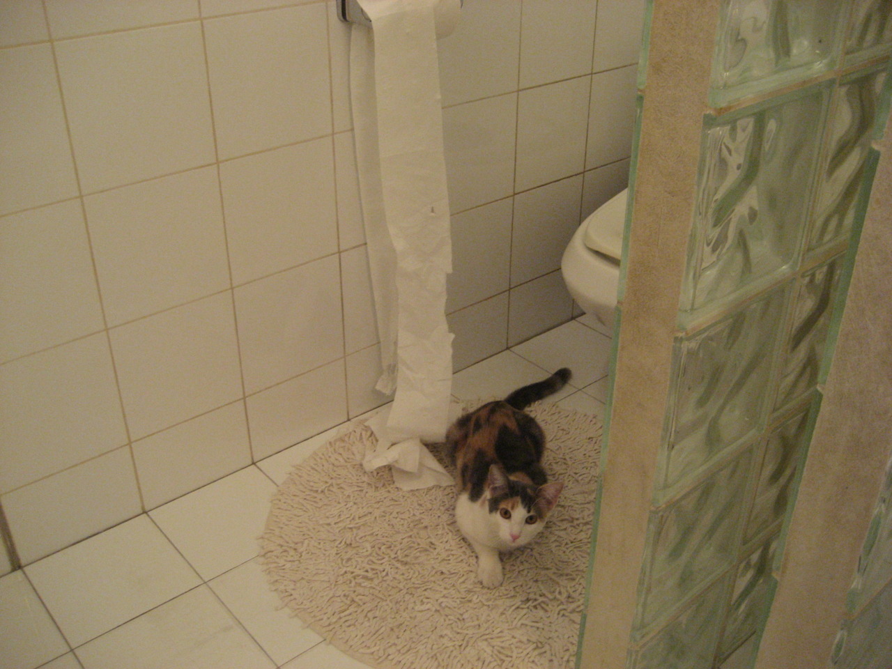 爱游戏在线娱乐官网-中国高尔夫球协会举办青少年高尔夫培训班，高尔夫球培训学校