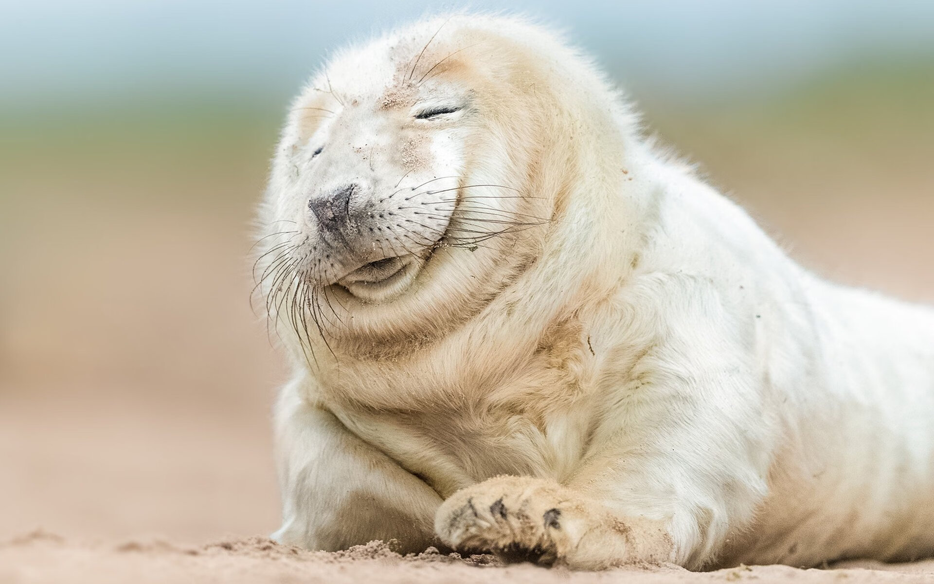 巴黎圣日耳曼锋线火爆,大比分胜出,巴黎圣日耳曼2021比赛时间