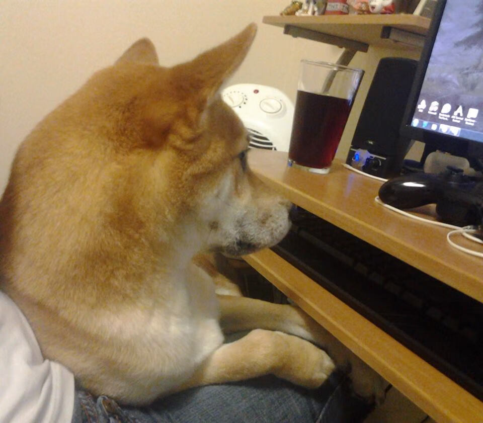 意大利赢得欧洲杯冠军,国内球迷欢欣鼓舞,意大利最近一次拿欧洲杯冠军