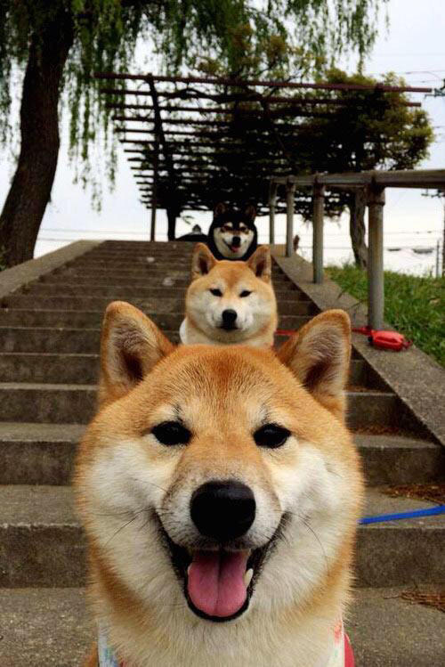 葡萄牙队因队员伤愈原价里斯本篮球队，葡萄牙里斯本图片