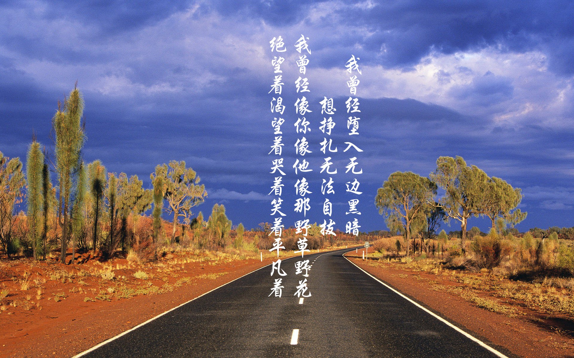 新援亮相:他们能改变球队命运吗?,新援状态