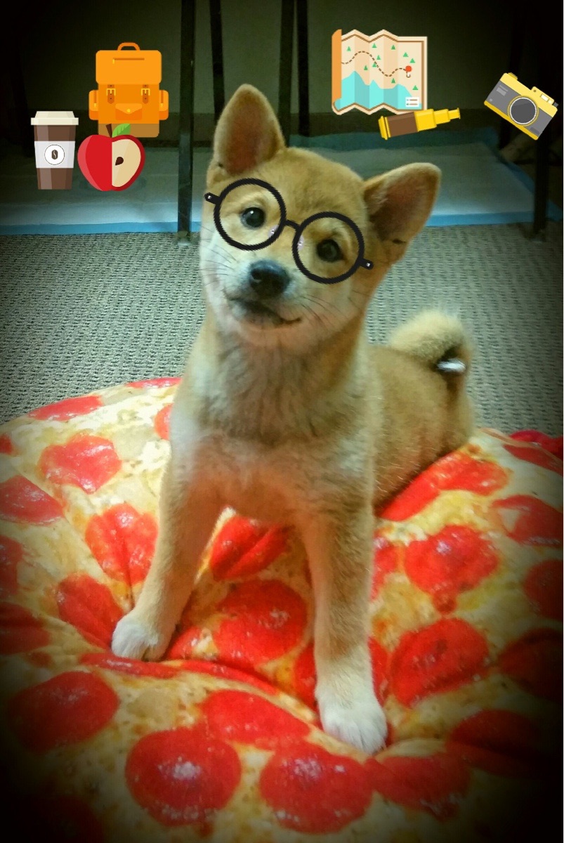 爱游戏中国官方登录入口网站-曼城凭借杰出的防守战胜切尔西，曼城vs切尔西谁是主场