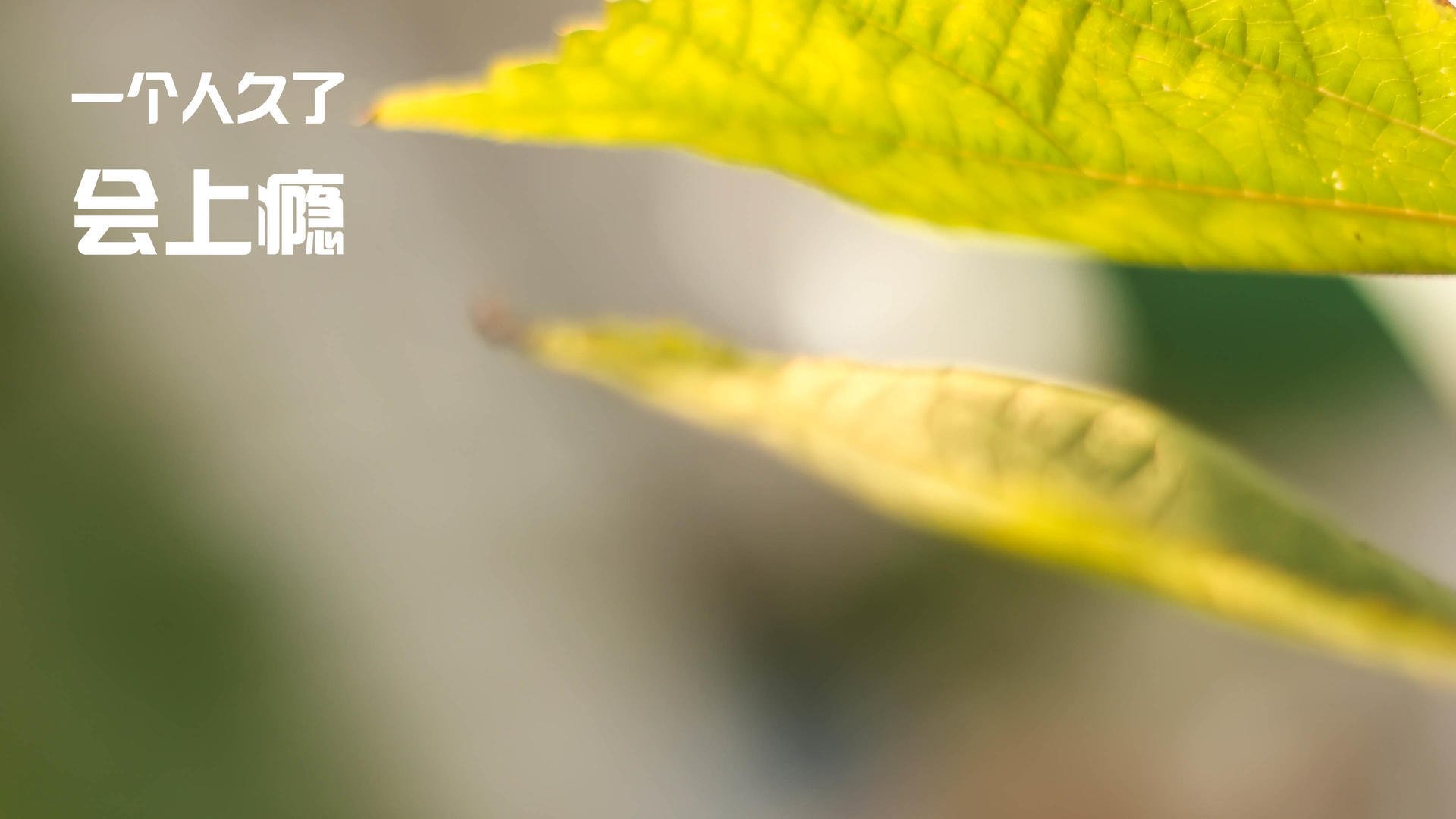 爱游戏登录入口-英超焦点：曼城主场2-0击败利物浦，榜首争夺更加激烈，英超23轮曼城对利物浦