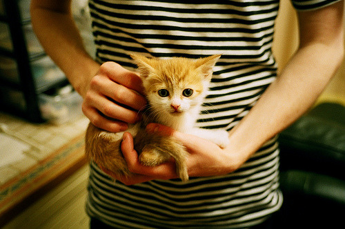 西甲本轮五佳进球盘点,西甲最佳11人