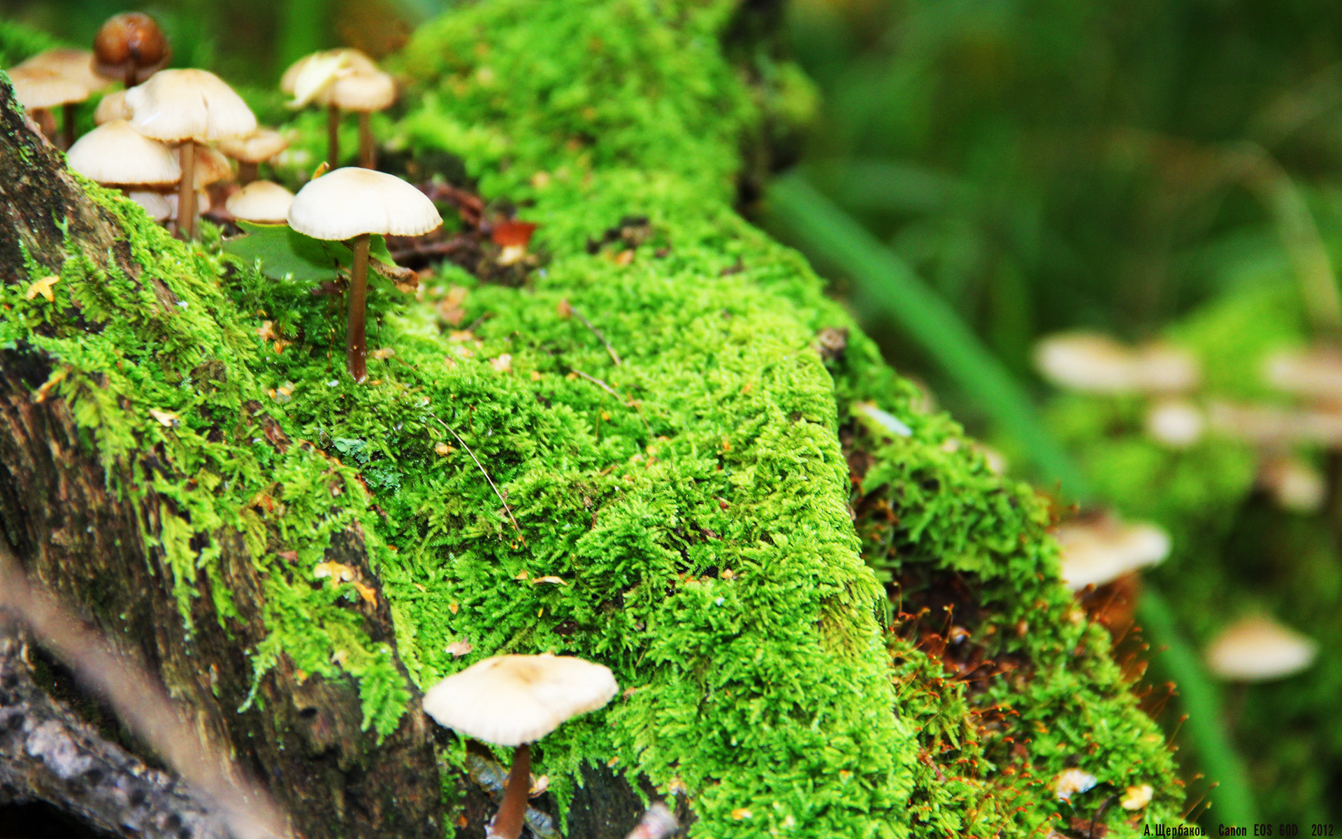 新闻中心完成研发平台搭建,新闻发布系统项目总结