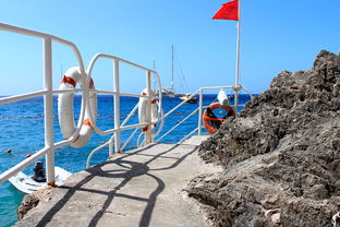 AYX SPORTS-球场安全：未来球场与安保新思路，球场防护