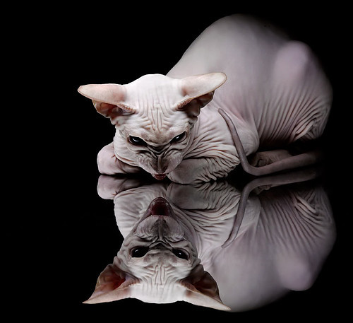 BTS全球巡演刷新纪录，bts巡演行程表安排