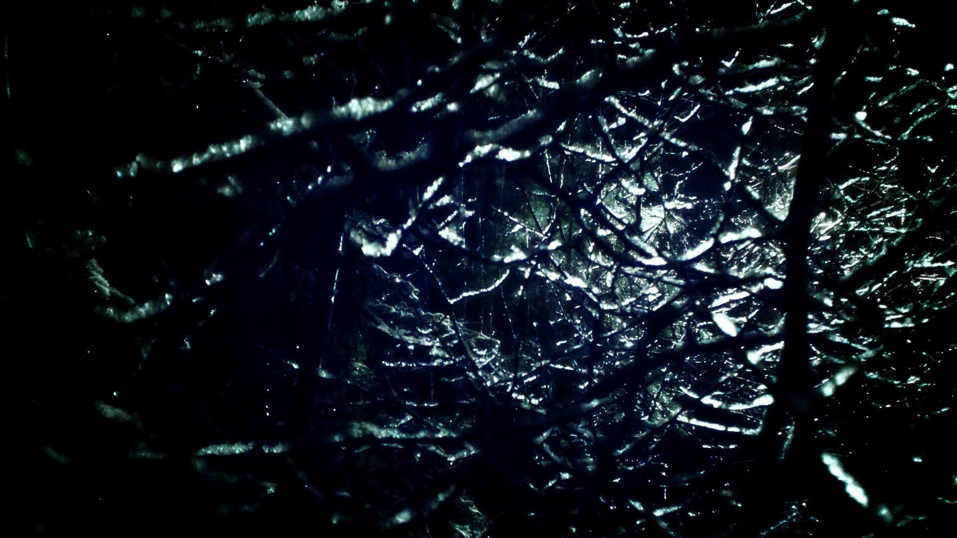 保利尼奥荣膺2023赛季巴甲最佳射手，保利尼奥在巴萨踢了多久