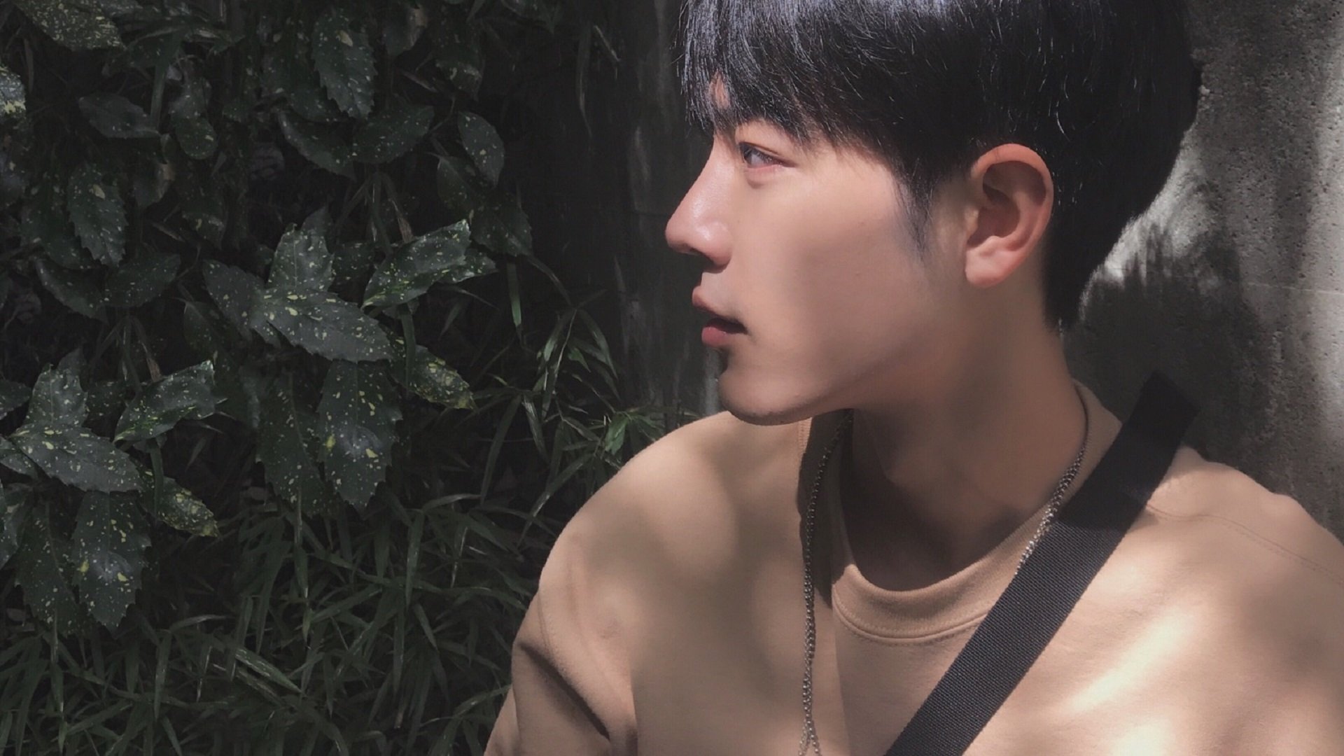 全北蔚山将展开双线作战挑战,全北和蔚山关系