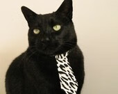 冬奥足球金靴归属伊朗前锋哈米德,伊朗拳王哈米德