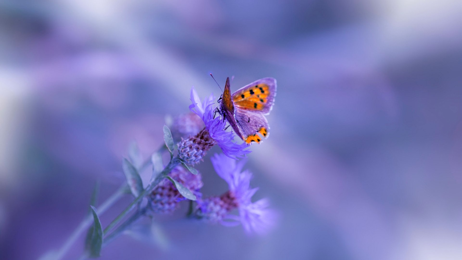 压迫战术覆盖面积是否影响后场长传精度，压迫防守是什么意思