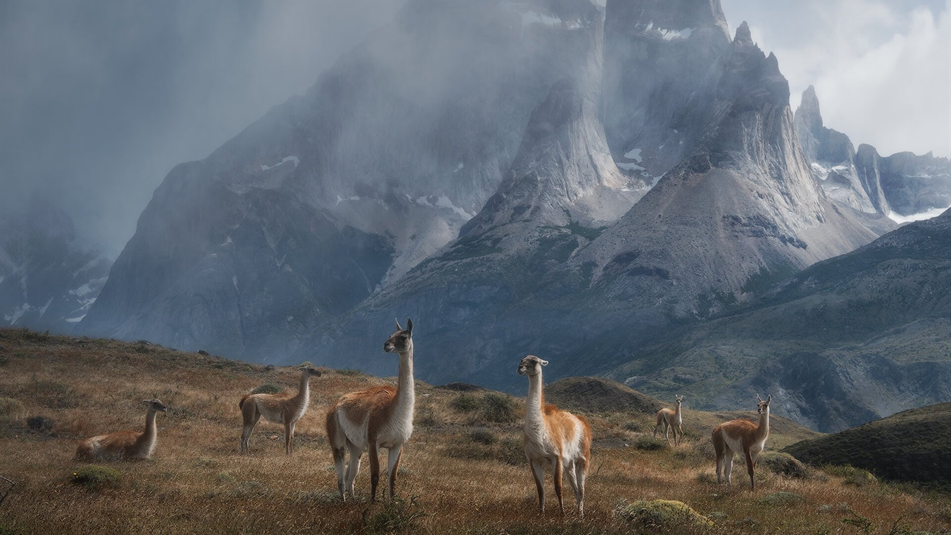 赛制全解析:德国队如何在国际乒联混合团体世界杯中发挥,德国乒乓球参赛名单