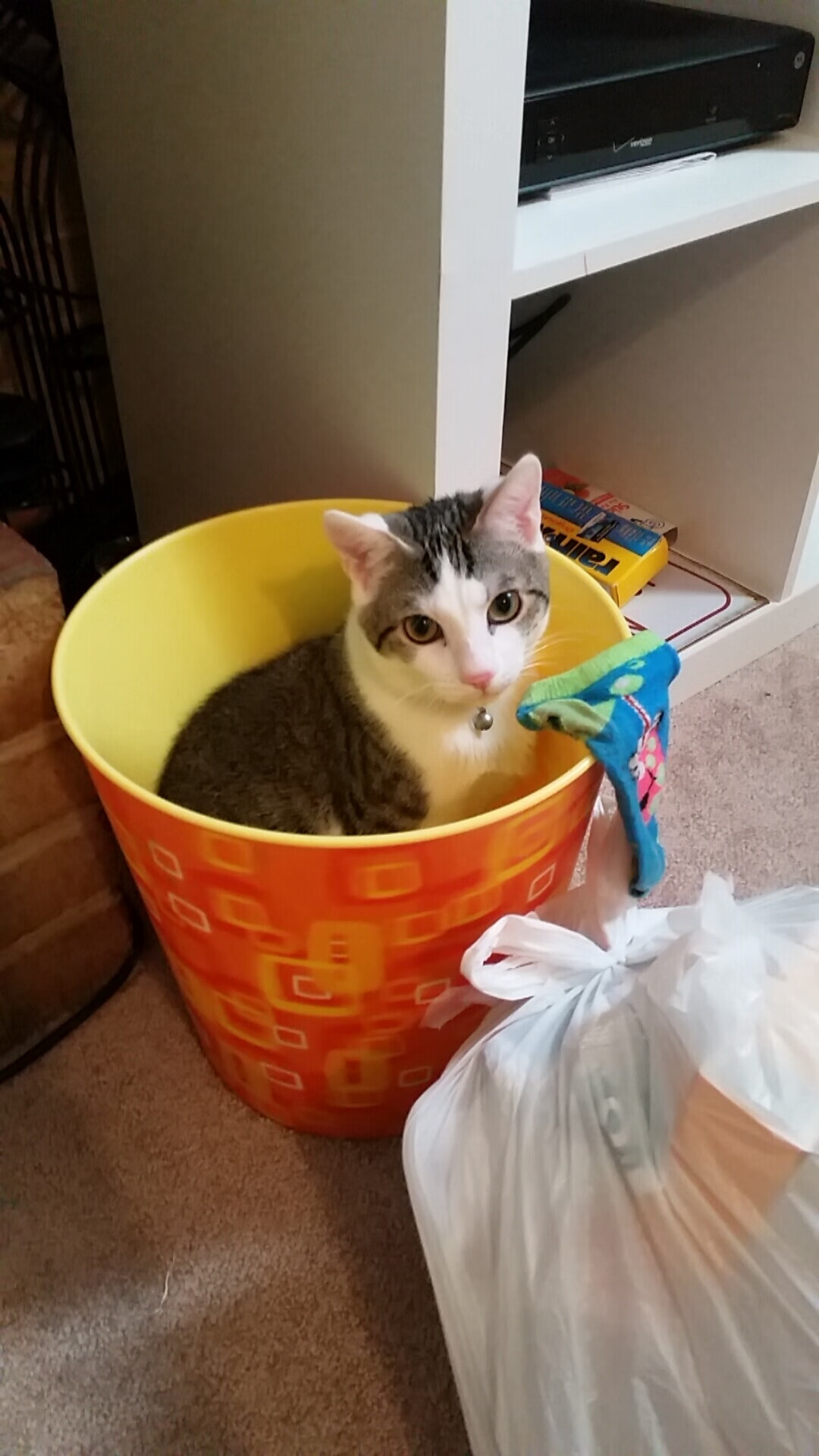 那不勒斯中路突破精准切入得分区域，那不勒斯阵型图