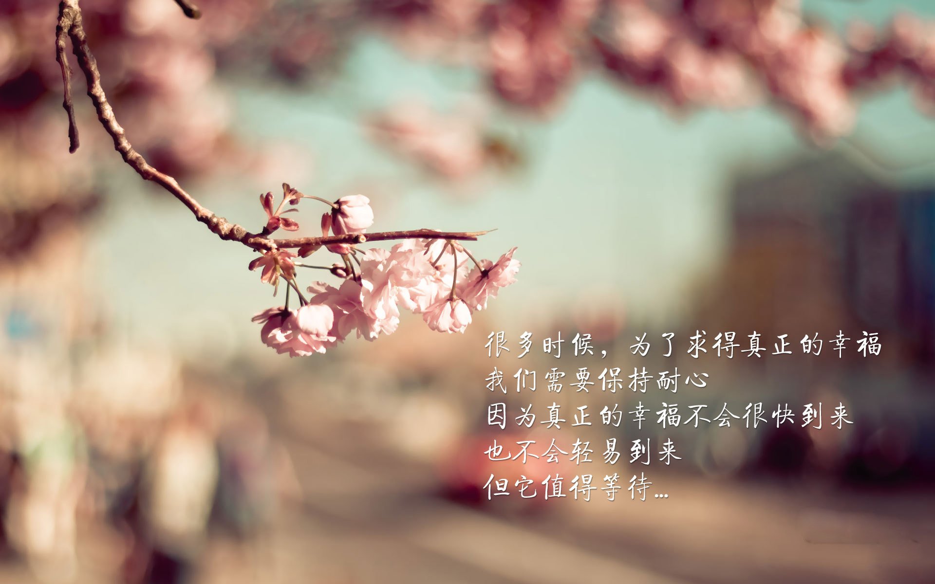 威尔士队员力拼实现突围，迎战挑战，威尔士队员名单