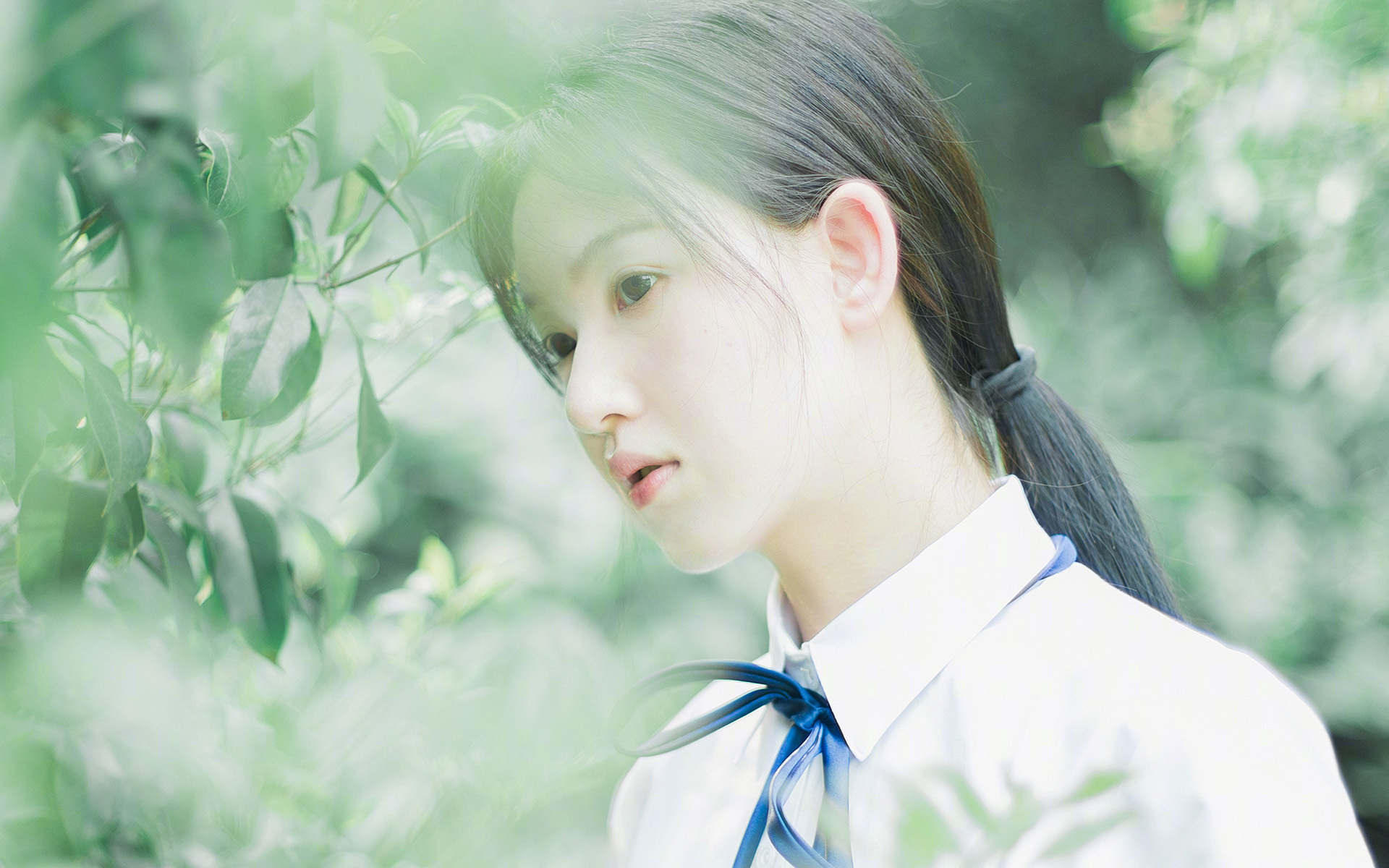 山东泰山球员转会动态，山东泰山球员转会西甲