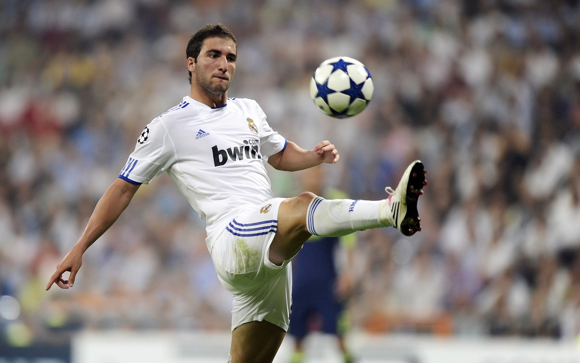 拜仁慕尼黑主场大胜,稳健领跑德甲积分榜,拜仁慕尼黑德甲排名