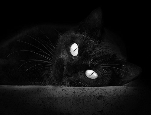 AYX SPORTS-朱婷比赛结束后主动与对手拥抱致意，朱婷等人