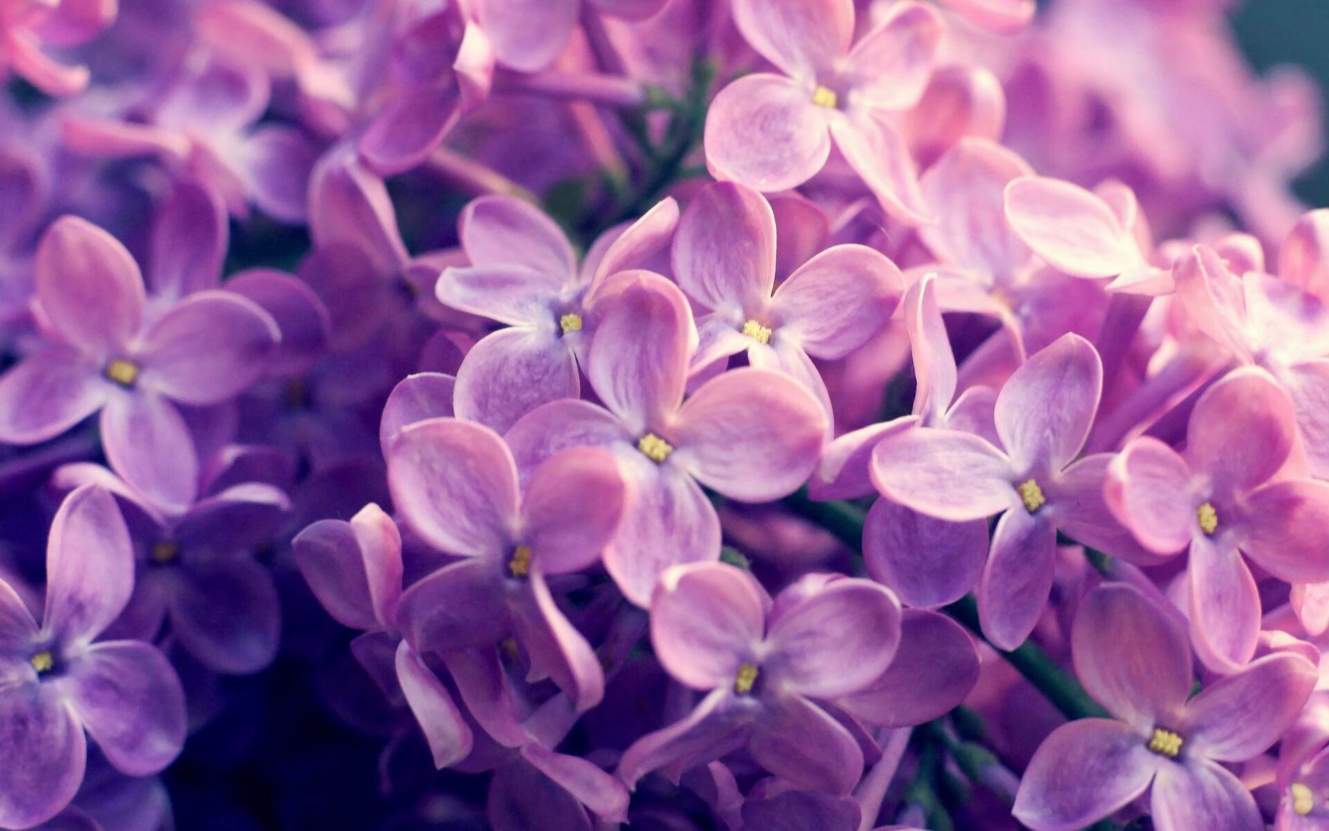 法甲VAR语义处理模块提升判罚透明度和公平性，var规则