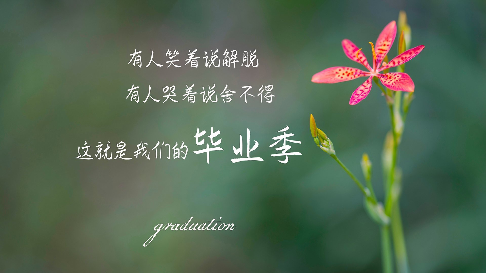 湖人客场奔赴密集行程主力轮换调整，湖人客场配色