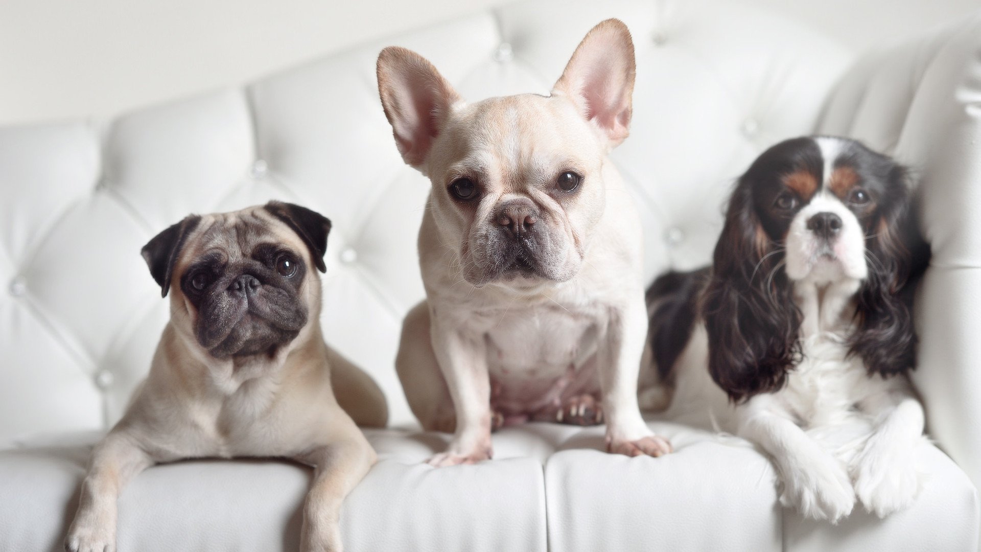 篮球运动员训练负荷智能调控研究，篮球项目负荷特征分析