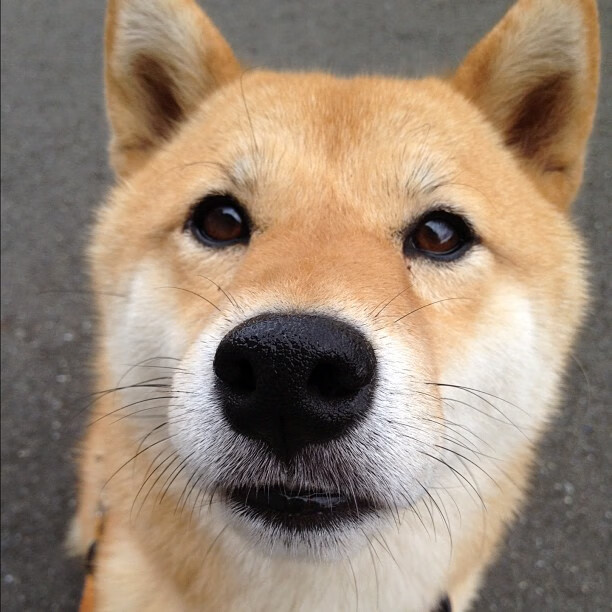 足协杯关键比赛复盘点评,足协杯进程