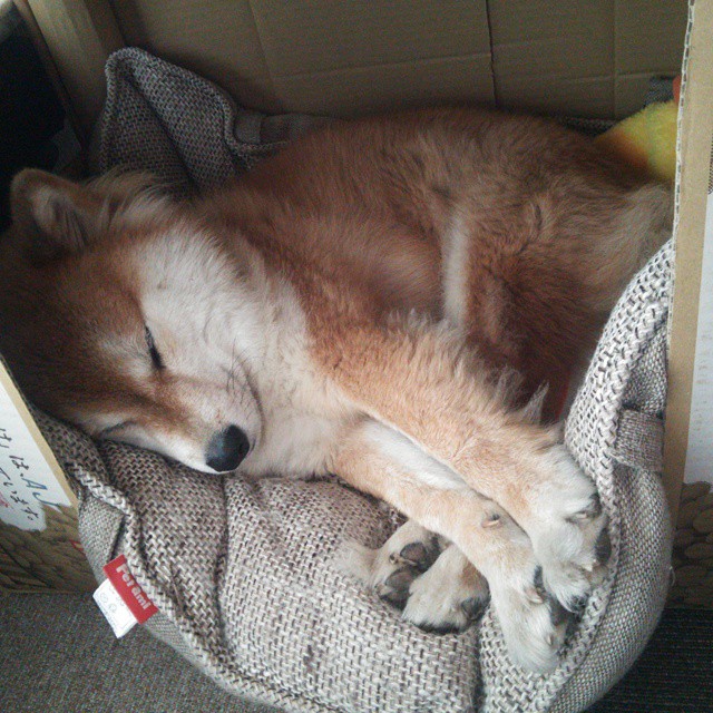 爱游戏综合娱乐-自由泳终段配速提升幅度大，自由泳 配速