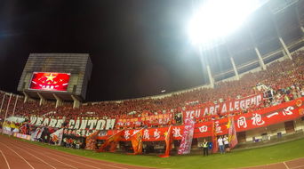 AYX体育官网-场馆设施翻新完成比赛场地改造计划推进，场馆设计方案