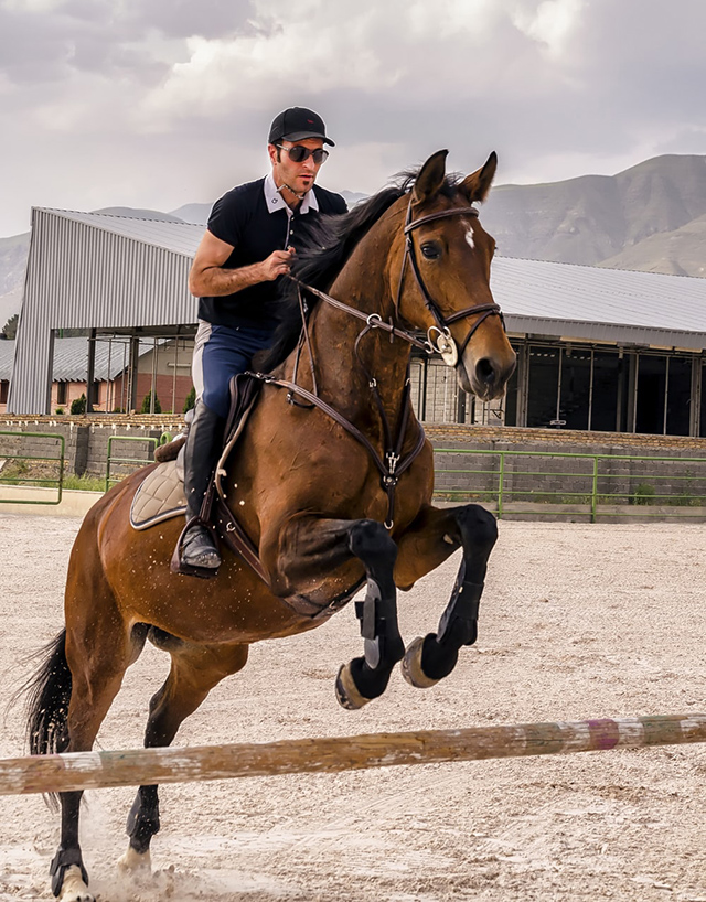 关于爱游戏体育:国际马术赛事的精彩瞬间，骑手与马的默契合作的信息