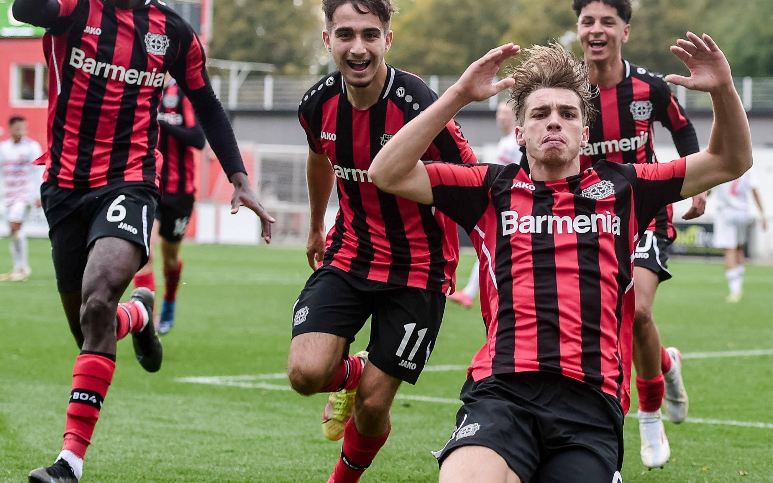 关于爱游戏体育：德甲汉诺威96的欧战表现与未来展望的信息