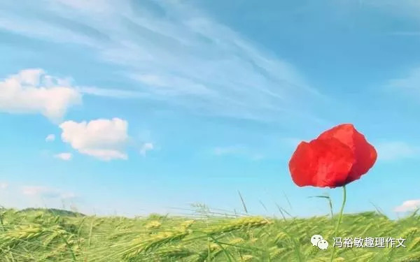 包含爱游戏体育:德甲的小球队故事：逆境中的奋斗与希望的词条